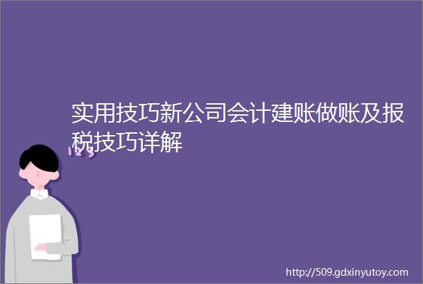 实用技巧新公司会计建账做账及报税技巧详解